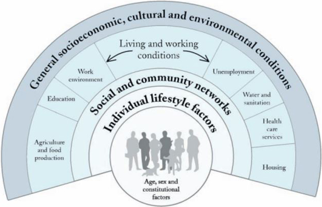 outGeneral socioeconomic, cultural and environmental conditions infographic