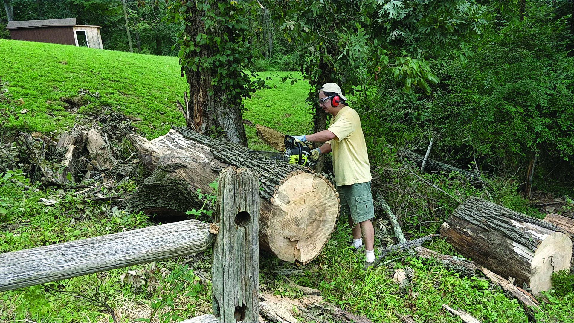A person stands outdoors beside a large freshly cut tree trunk, using a tool to work on the wood, with fallen logs, green grass, and leafy trees surrounding the area in a natural setting.