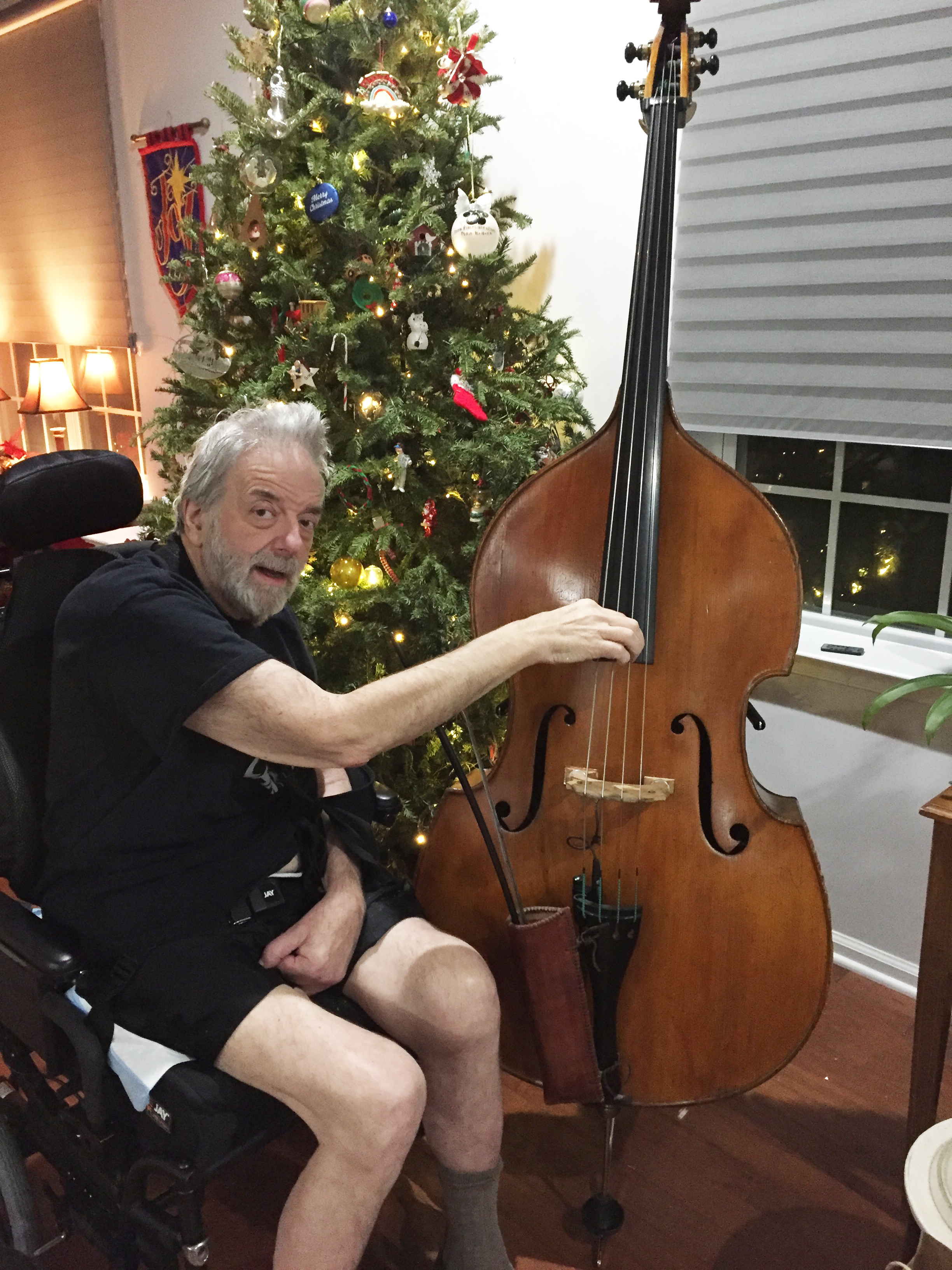 A person playing a double bass