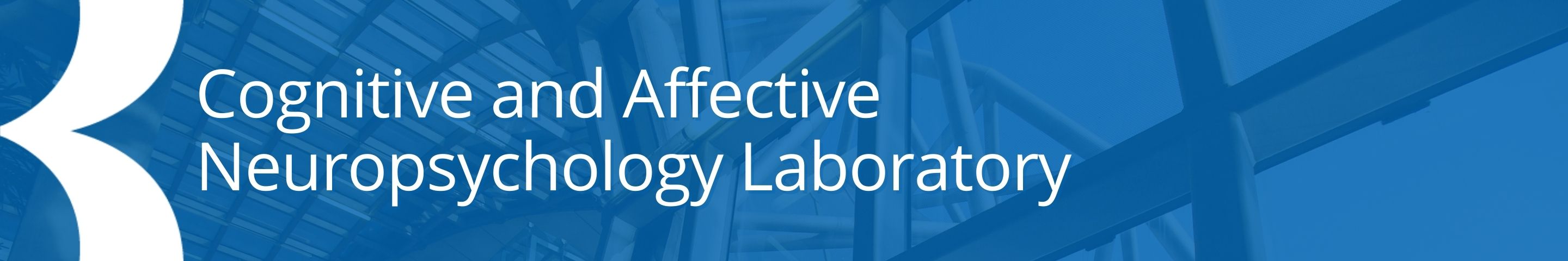 blue banner cognitive and affective neuropsychology laboratory