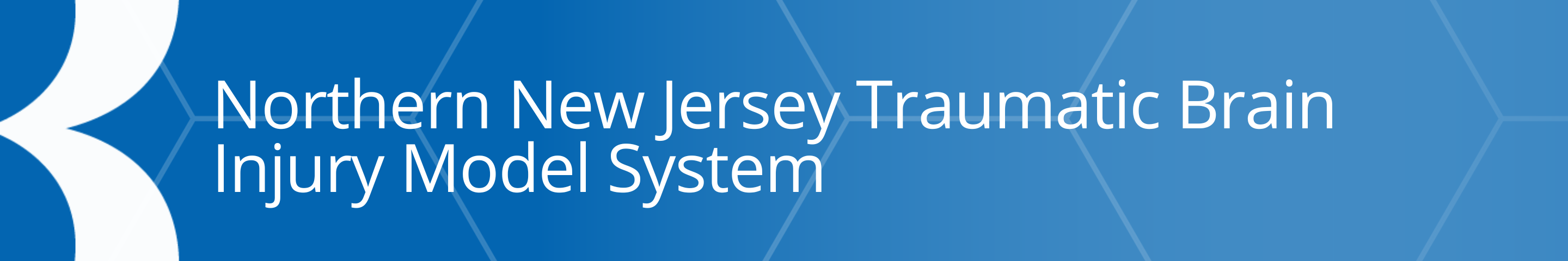 Northern NJ TBI Banner
