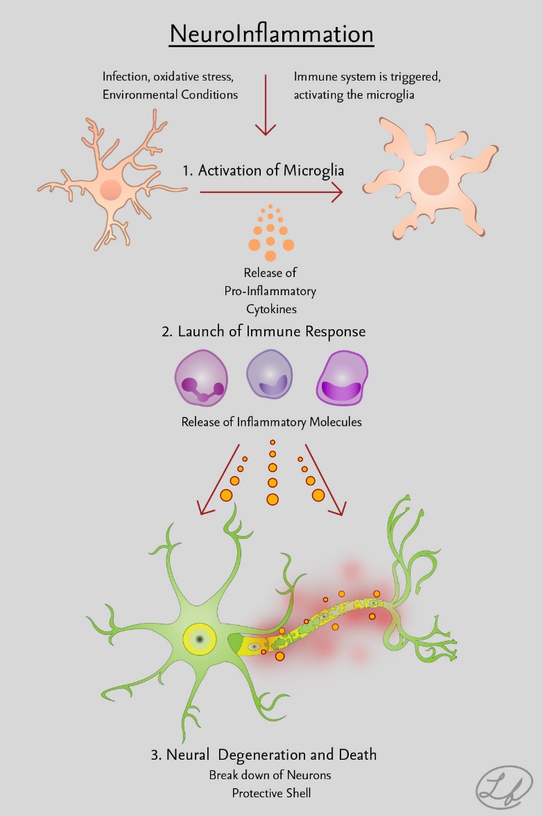 A diagram of a cell</p>
<p>AI-generated content may be incorrect.