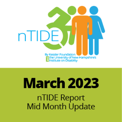 ntide March mid month update report logo on green background and icons of individuals