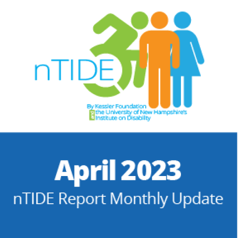 nTIDE April 2023 report logo with an icon of individual in a wheelchair