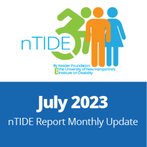 nTIDE logo report monthly update 