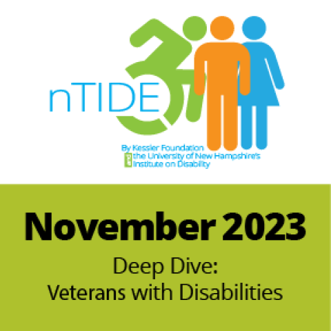 icon of an individual in a wheelchair with the word NTIDE