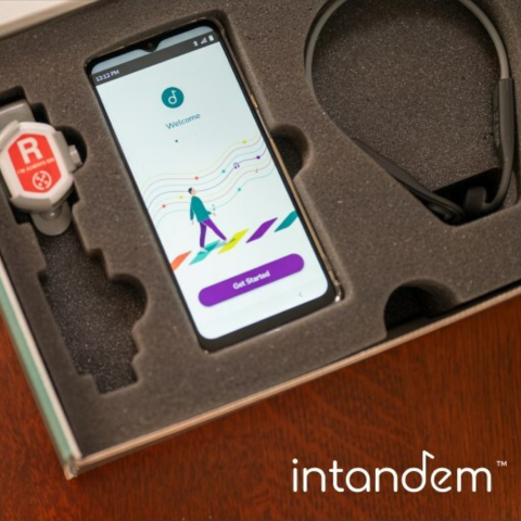 The InTandem system includes headphones, a handheld device, and shoe sensors.