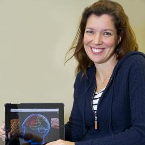 woman with a tablet researching on the human brain study