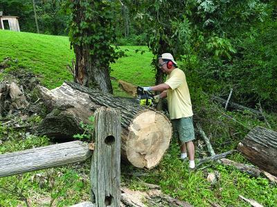A person stands outdoors beside a large freshly cut tree trunk, using a tool to work on the wood, with fallen logs, green grass, and leafy trees surrounding the area in a natural setting.